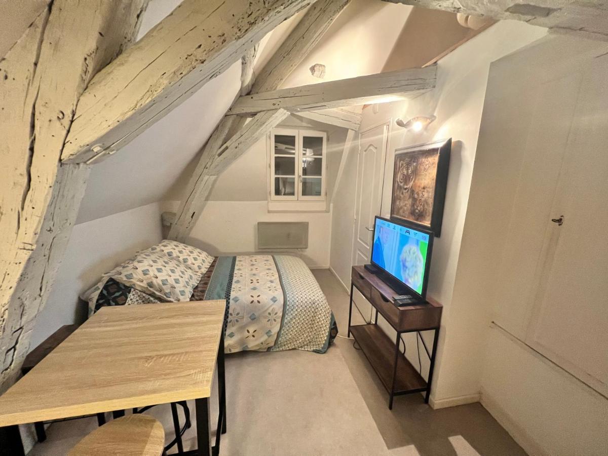 Le Pacific - Appartement Spacieux Centre Ville Orléans Eksteriør billede
